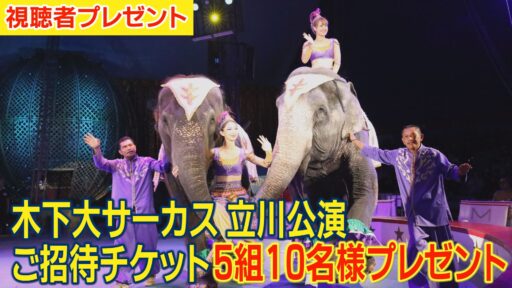木下大サーカス 立川公演 ご招待チケット（期日：1月9日まで）