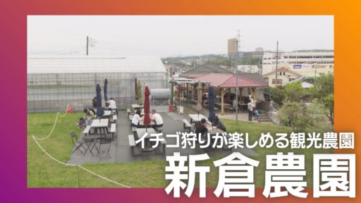 新倉農園