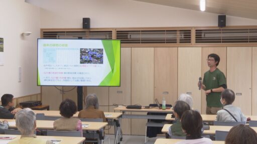 多摩市立グリーンライブセンター講座「多摩丘陵の植物や自然を学ぼう」