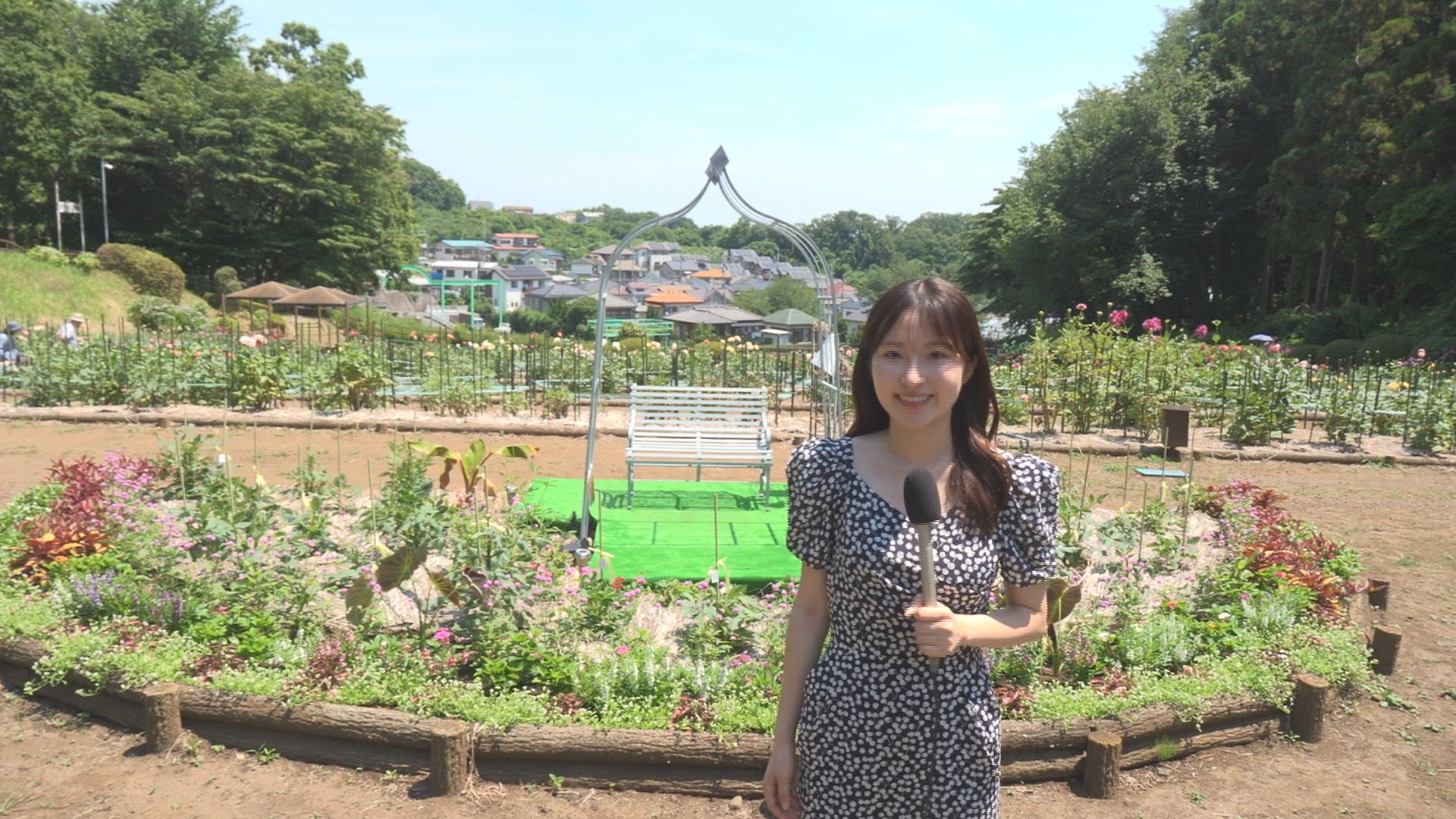 町田ダリア園　開園