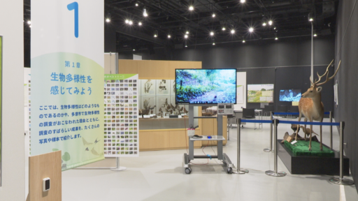 パルテノン多摩 特別展「多摩市の生きもの大集合」