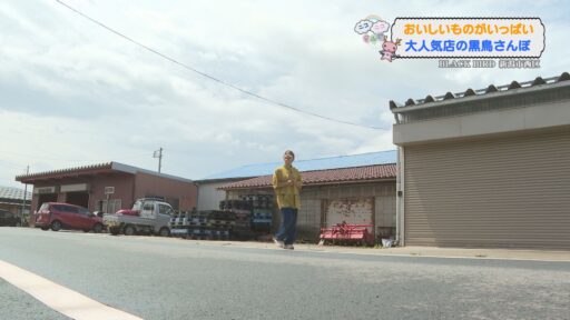 ニコニコさんぽ