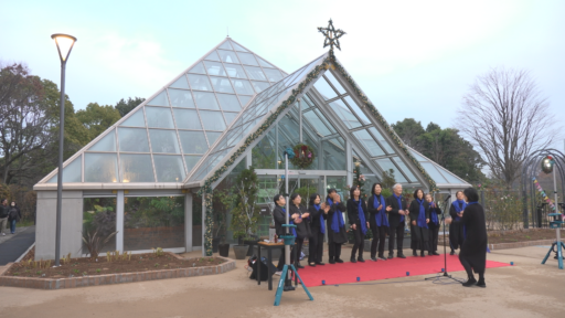 グリーンライブセンター  クリスマス２０２５