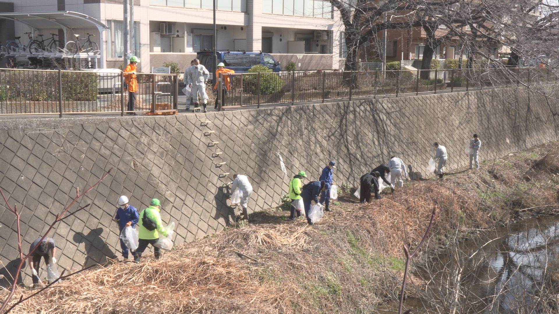 第１６回三沢川清掃